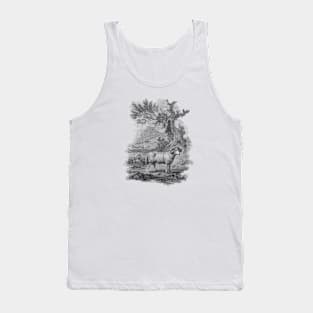 Ram in The Landscape, Vintage Farm Animal Illustration Tank Top